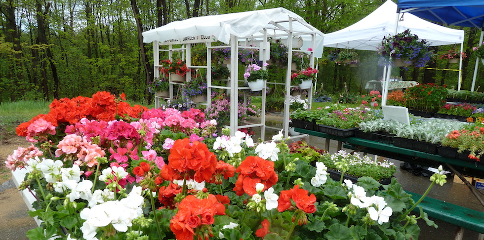Garden Club Plant Sale